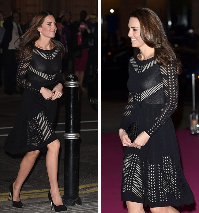 Duchess of Cambridge Picture Gallery