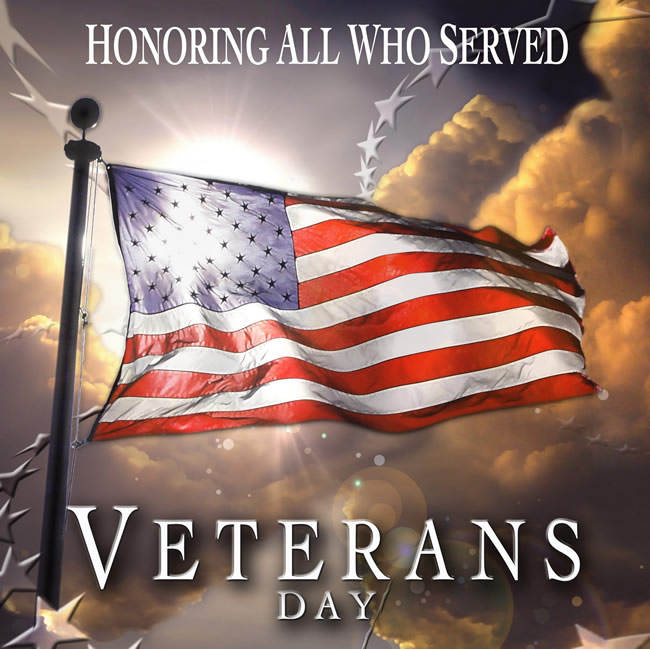 Veterans Day in United States 2015