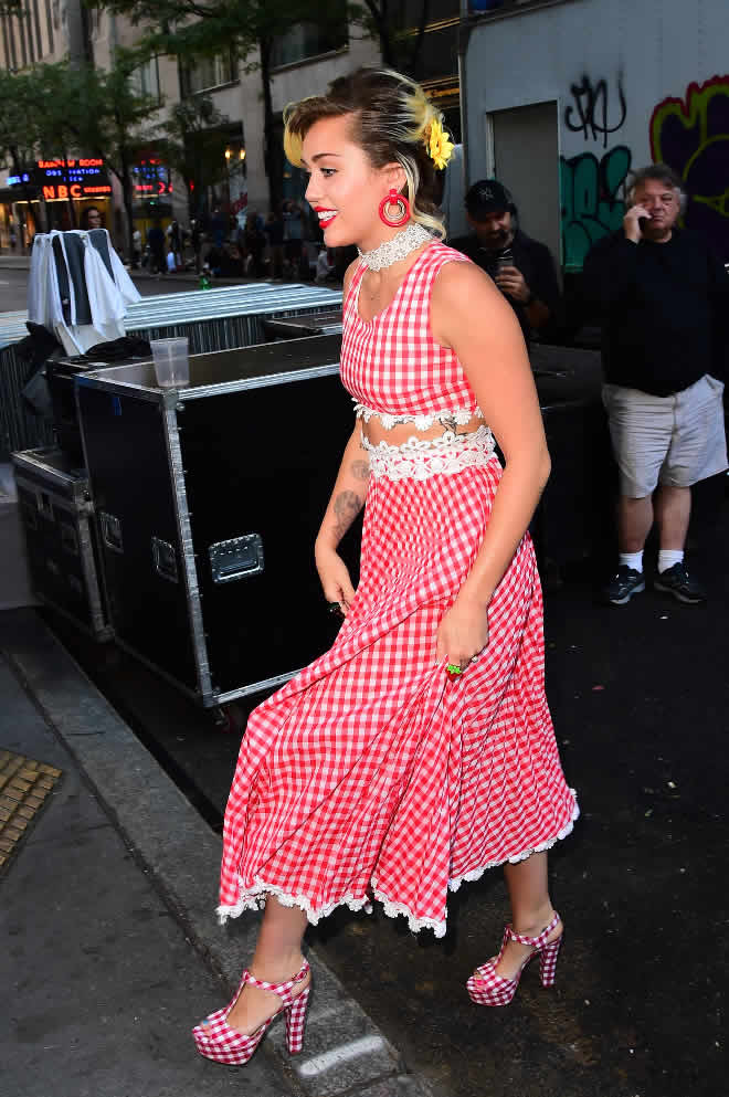 11 Reasons Miley Cyrus's Wedding Dress
