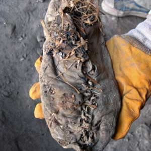 5500-Year Leather Moccasin World's Oldest Shoe