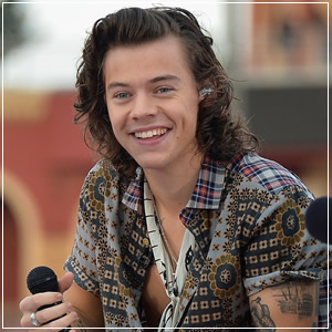 Harry Styles On One Direction Break Up