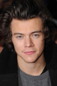 Harry Styles Is Officially Going Solo