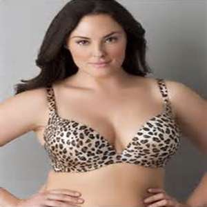 Toledos to Launch Line for Lane Bryant