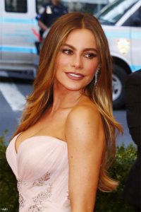 Sofia Vergara: 'What's Wrong With Being a Stereotype'
