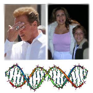 DNA test confirms Schwarzenegger’s Love Child - Celebrity Gossips