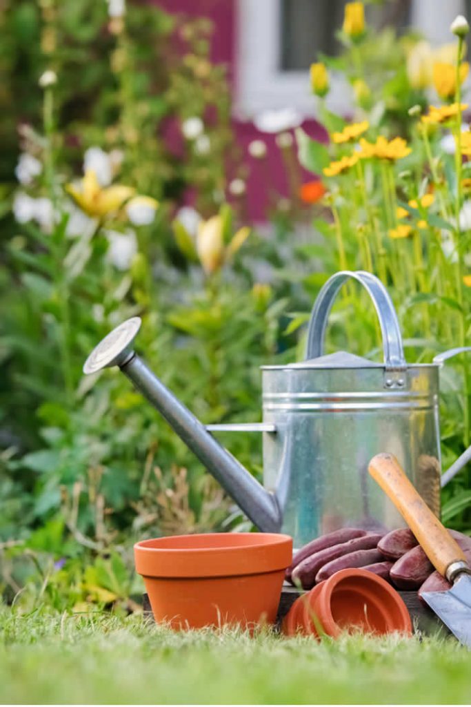 5 Simple Ways To Get Your Garden Ready For Spring