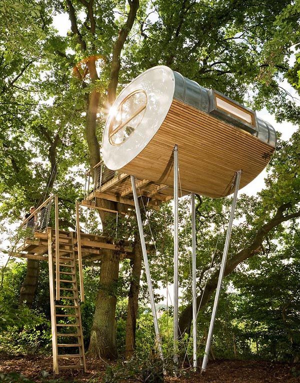 Elliptical Treehouse beautiful tree home design