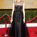 SAG Awards 2013 Red Carpet