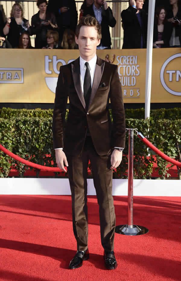 SAG Awards 2013 Red Carpet
