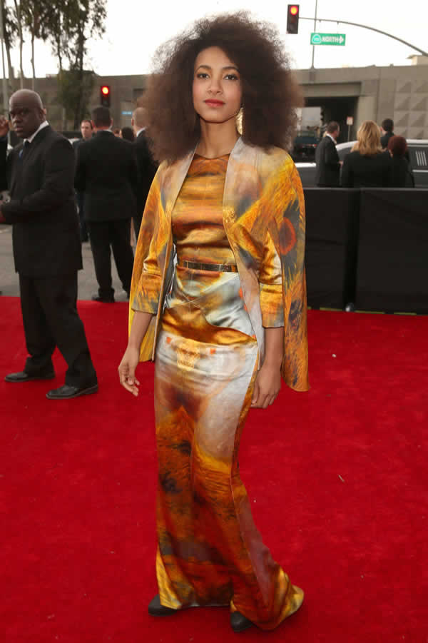 Grammy Awards 2013 Red carpet