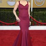 SAG Awards 2013 Red Carpet