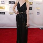 Critics' Choice Awards 2013