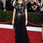 SAG Awards 2013 Red Carpet