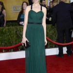 SAG Awards 2013 Red Carpet