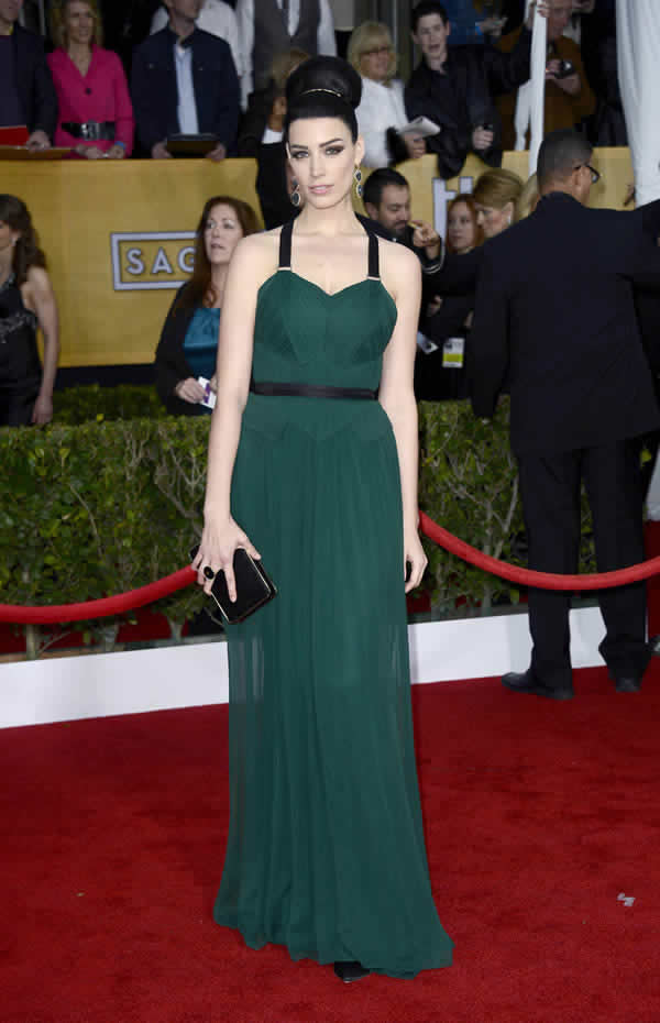 SAG Awards 2013 Red Carpet