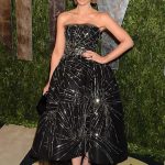 Oscar Awards Red Carpet 2013