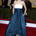 SAG Awards 2013 Red Carpet