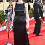 SAG Awards 2013 Red Carpet