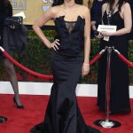 SAG Awards 2013 Red Carpet