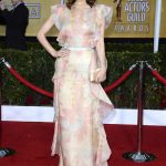 SAG Awards 2013 Red Carpet