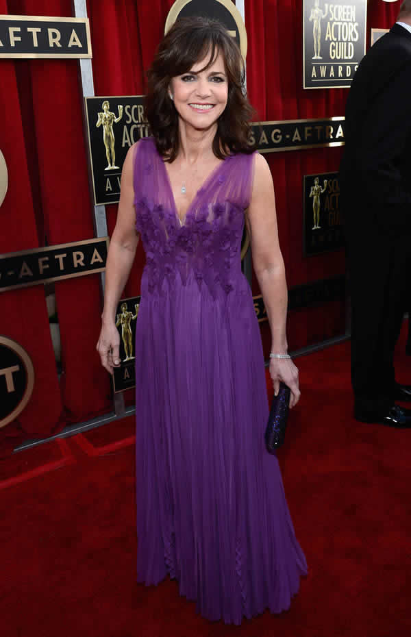 SAG Awards 2013 Red Carpet
