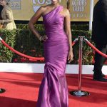 SAG Awards 2013 Red Carpet