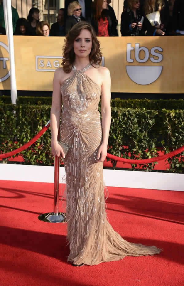 SAG Awards 2013 Red Carpet