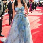 SAG Awards 2013 Red Carpet