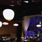 Aqua Gallery Furniture Fashion 2011