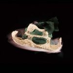 "Men accessories" of SUMMER 2009 Collections