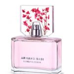 Armand Basi - Fragrances Collection