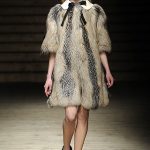 Albino Fall 2010 Collection