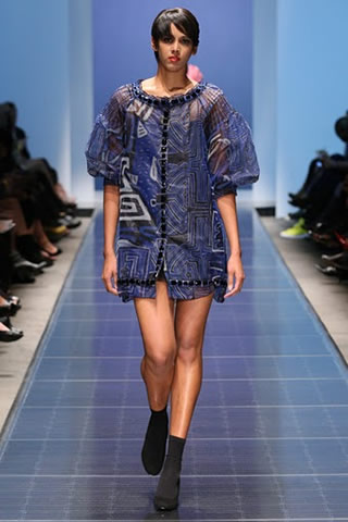 Fashion Brand Amelia Toro 2011 Collection