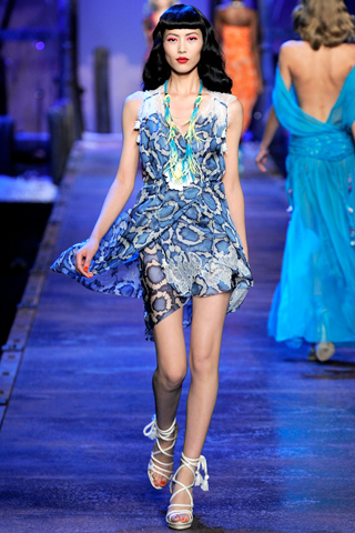 Ready To Wear Fashion 2010 Shows