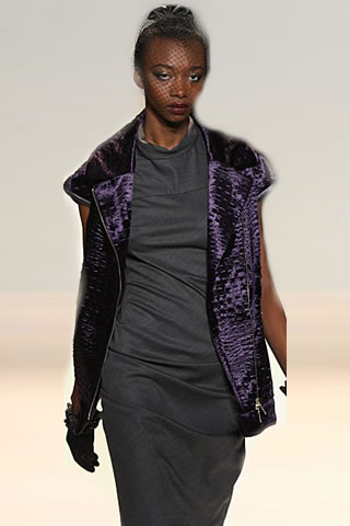 Cynthia Steffe Fall 2009
