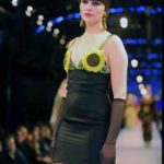 Darnell Collection 2011