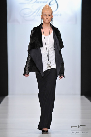 Collection 2011 David