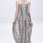 Spring 2011 Fashion Shows Pictures