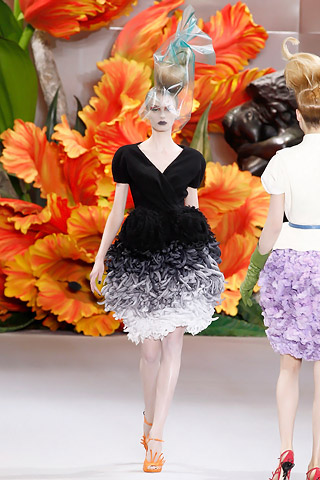 Christian Dior Haute Couture 2010