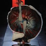 Paris Couture Fashion Week 2011