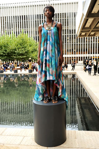 Spring 2011 Fashion Shows Picture