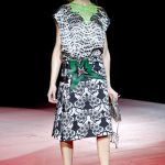 Miu Miu Spring 2010 Ready To Wear Collection