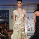 Indian Fashion Industry 2010