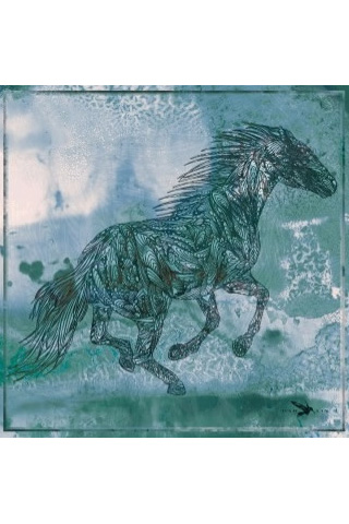 Fall/Winter New York Scarves and Wraps