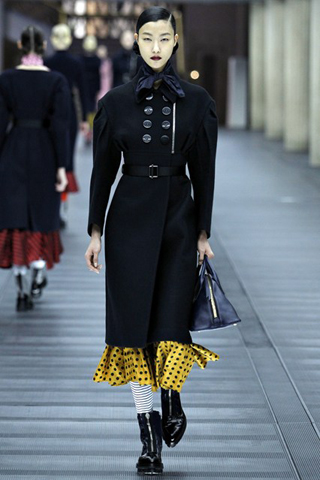 Paris 2013-14 Autumn/Winter Collection by Miu Miu