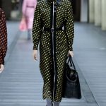 Paris 2013-14 Autumn/Winter Collection by Miu Miu