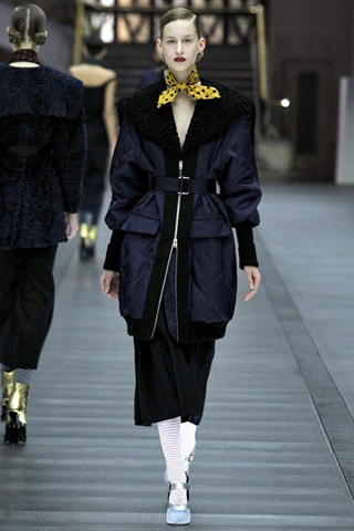 Miu Miu Autumn/Winter 2013-14 Collection