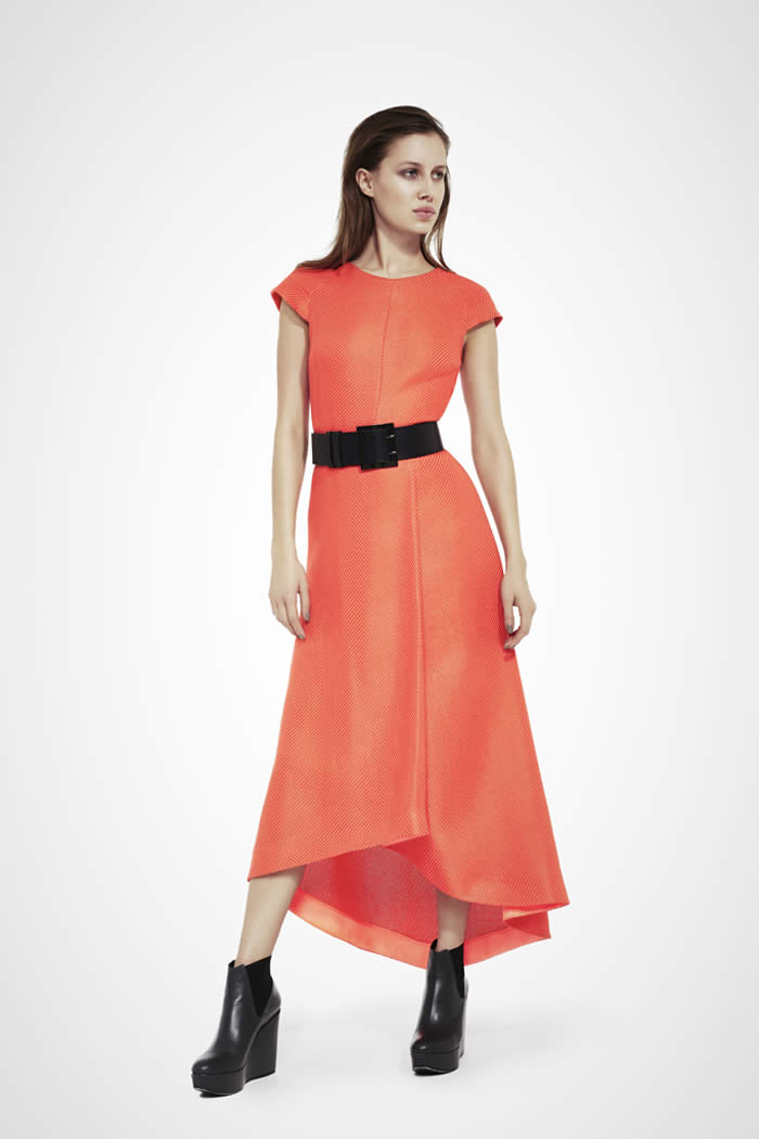 Latest Collection Pre-fall  by Amanda Wakeley 2016