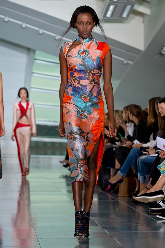 Antonio Berardi 2015 london fashion week collection