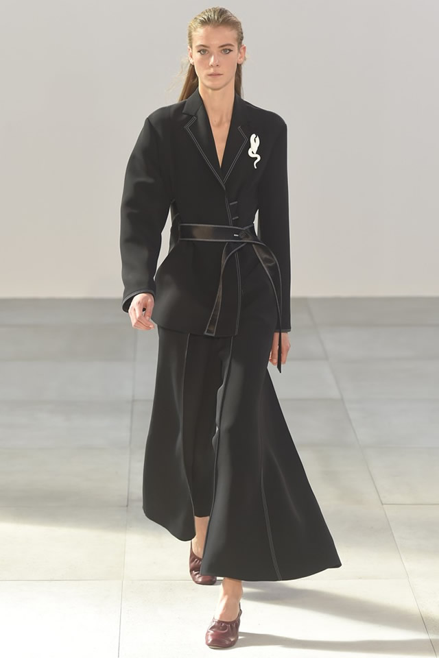 Celine 2015 Latest Paris Fashion Week S/S Collection